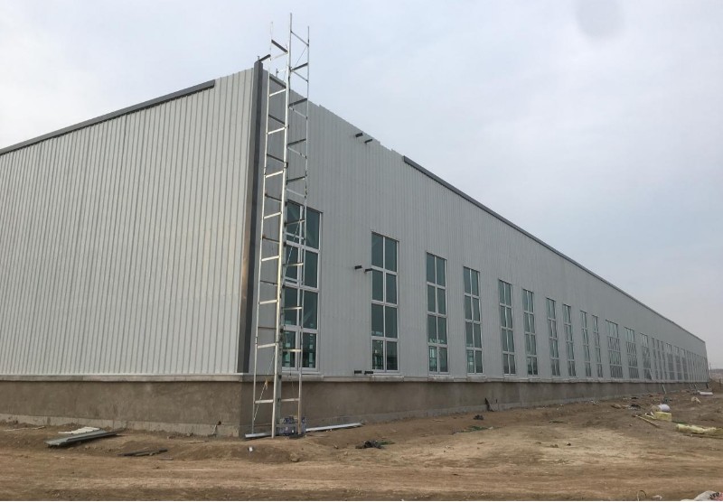 esball(�й���)�ٷ���վ