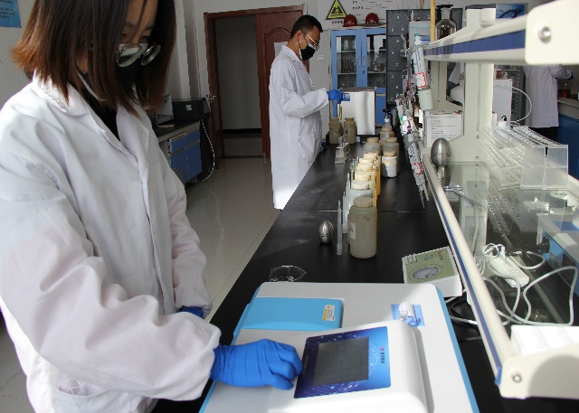 esball(�й���)�ٷ���վ