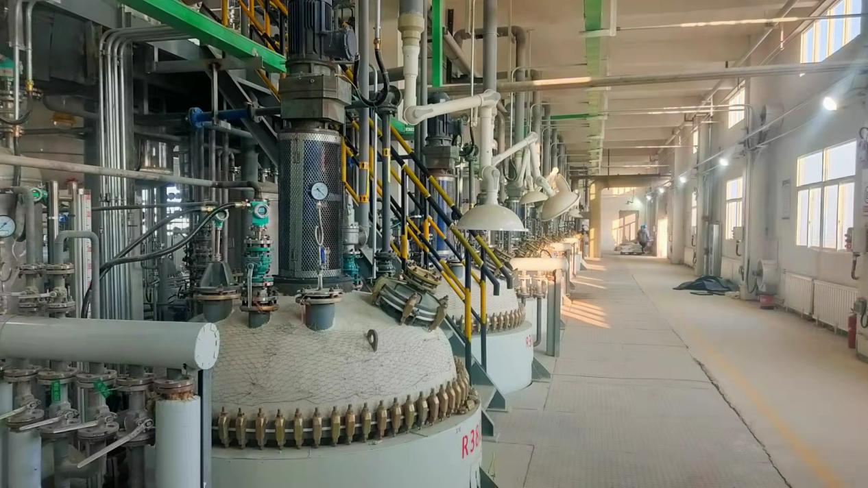 esball(�й���)�ٷ���վ