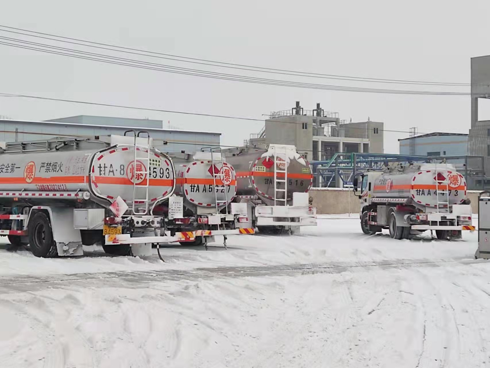 esball(�й���)�ٷ���վ