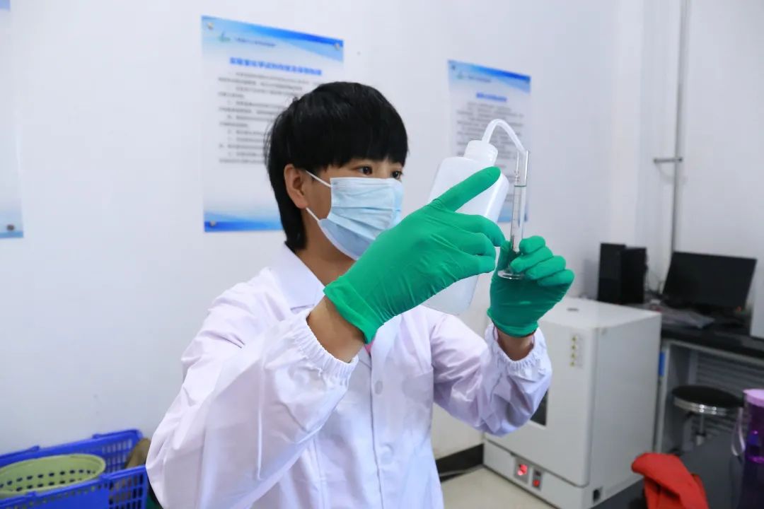 esball(�й���)�ٷ���վ