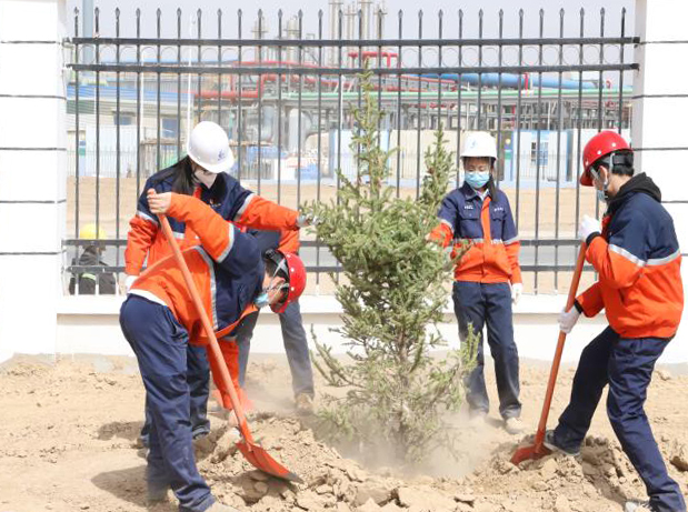 esball(中国区)官方网站