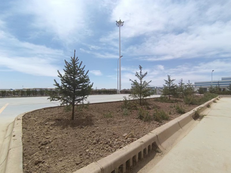 esball(�й���)�ٷ���վ