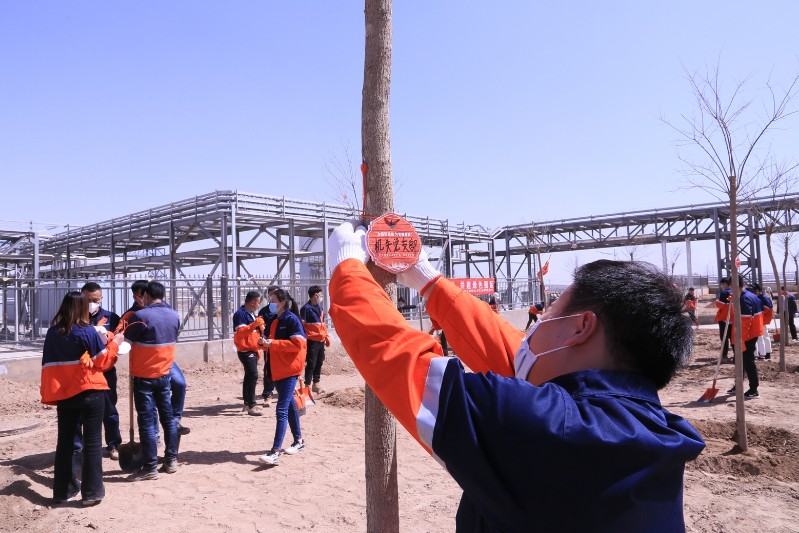 esball(�й���)�ٷ���վ