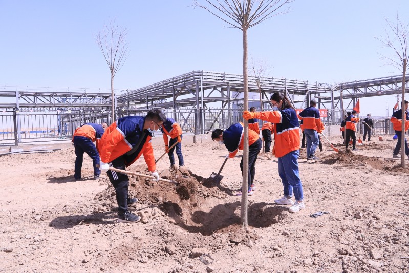 esball(�й���)�ٷ���վ