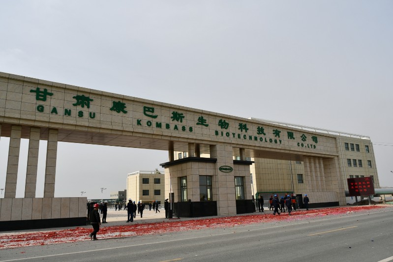 esball(�й���)�ٷ���վ