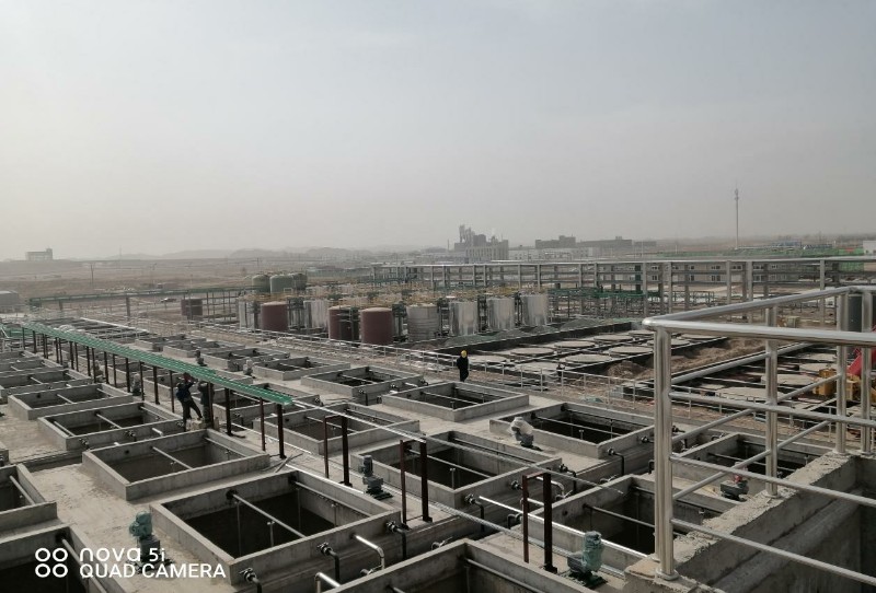 esball(�й���)�ٷ���վ