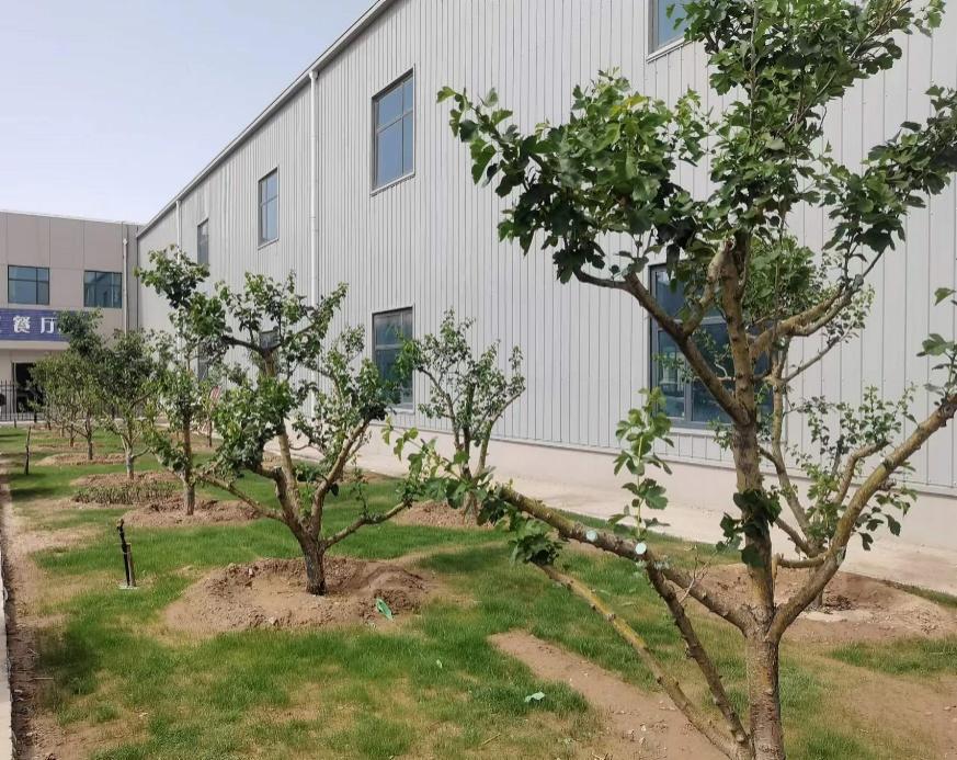 esball(中国区)官方网站