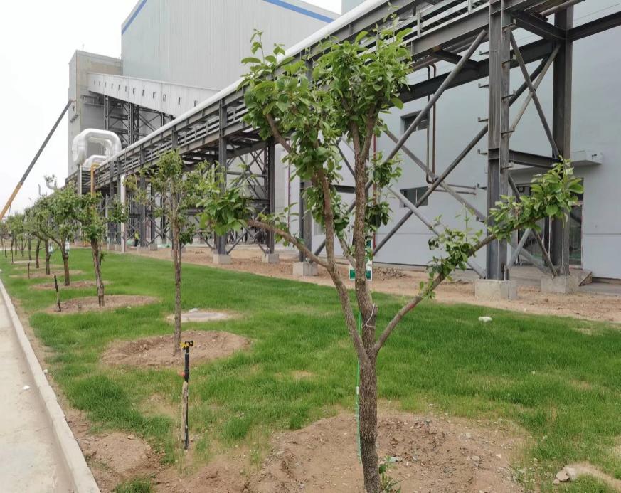 esball(中国区)官方网站