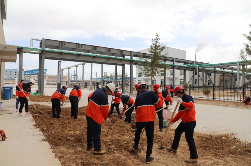 esball(中国区)官方网站