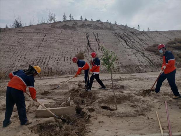 esball(中国区)官方网站