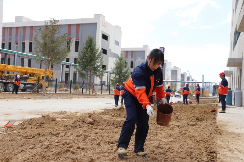 esball(�й���)�ٷ���վ