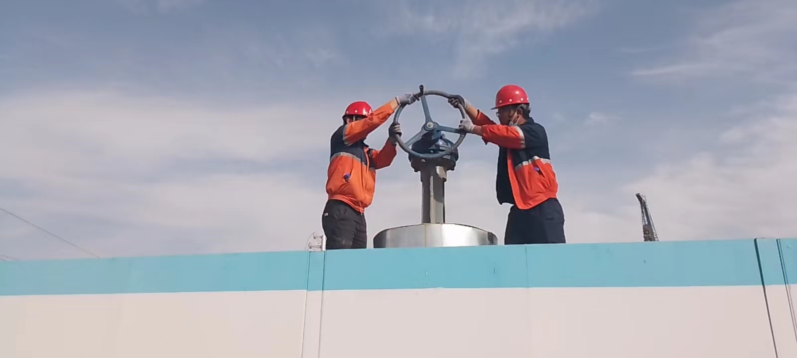 esball(�й���)�ٷ���վ