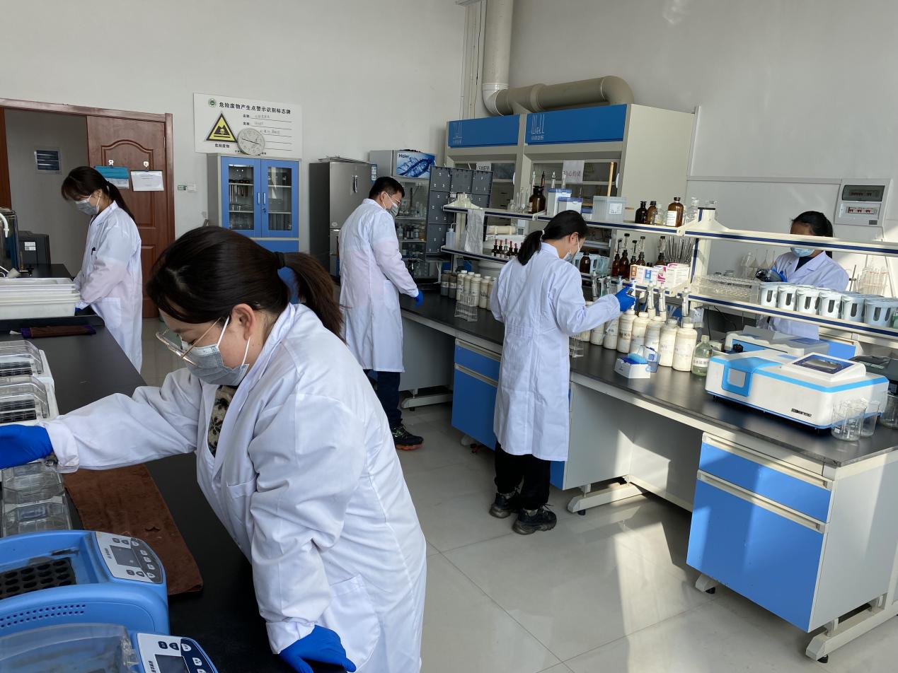 esball(中国区)官方网站